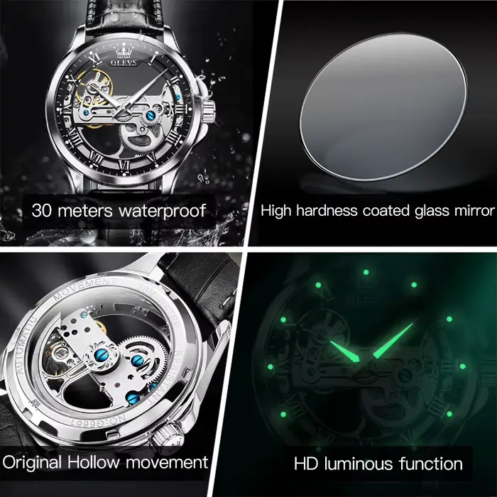 OLEVS 6661 montre pour hommes