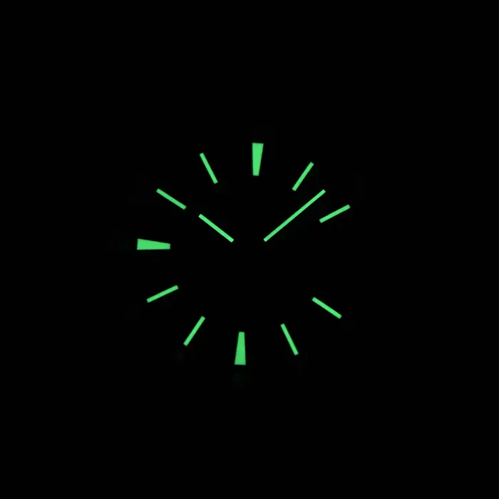 Montre automatique Dwayne Campbell 2025