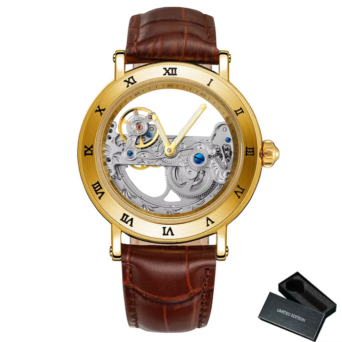 Montres mécaniques vintage, pont doré, squelette, automatique, montre pour homme, luxe, bracelet en 