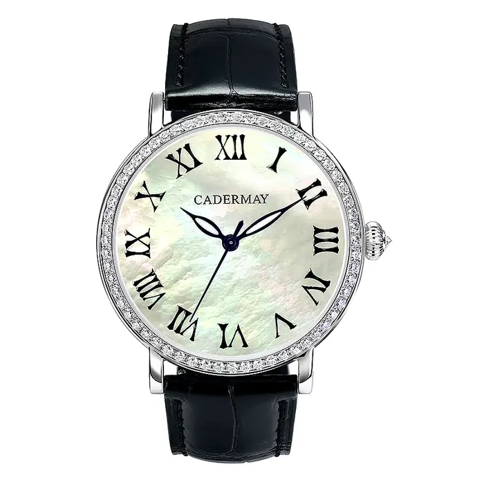 Montre-bracelet mécanique de luxe pour hommes