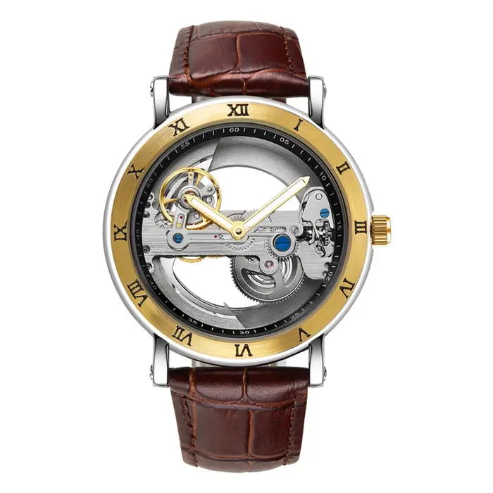Montre hommes montre automatique montre de luxe homme montre-bracelet mécanique squelette conception étanche bracelet