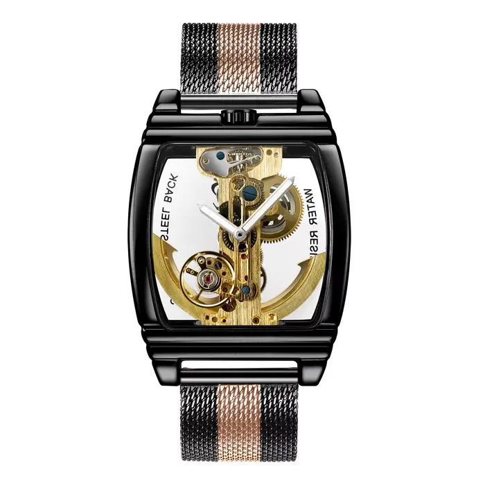 Montre mécanique automatique transparente pour homme