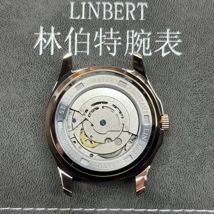 Montre pour hommes mécanique entièrement automatique en or Rose véritable marque de luxe en acier lumineux étanche