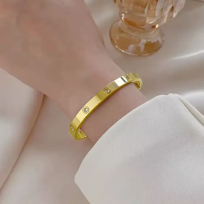 Bracelets de luxe en acier inoxydable et Zircon pour femmes