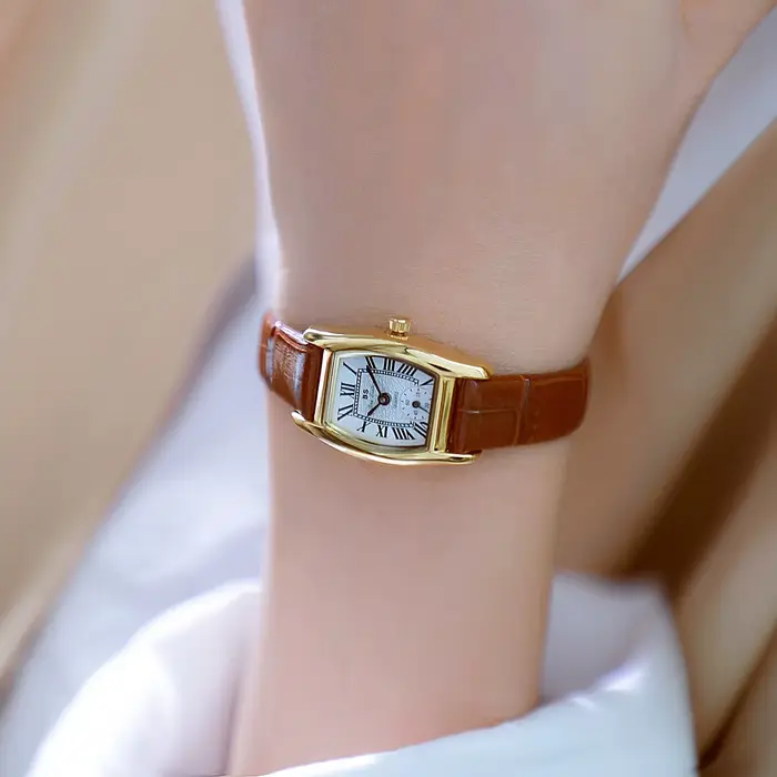 Montre pour femme BS, style rétro polyvalent, marque de luxe, bracelet en cuir et acier, étanche, mo