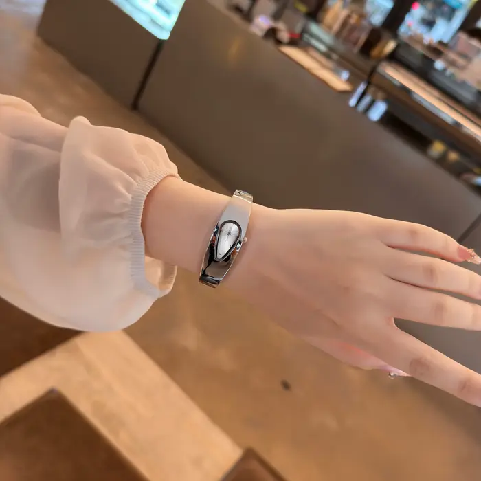 Montre DRNATA en acier inoxydable pour femmes, élégante et résistante à l'eau pour diverses occasions spéciales