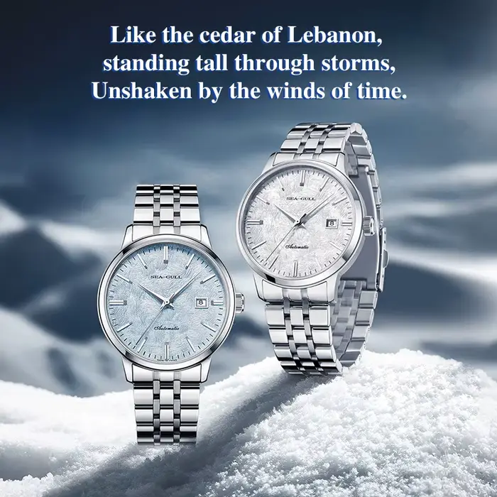 Mouette cèdre hommes montres mécaniques automatiques de luxe mode Couple