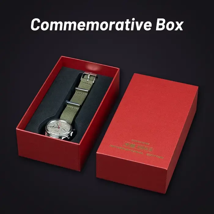 Seaghydr-Montre Pilote Mécanique ST1901 Édition Internationale pour Homme