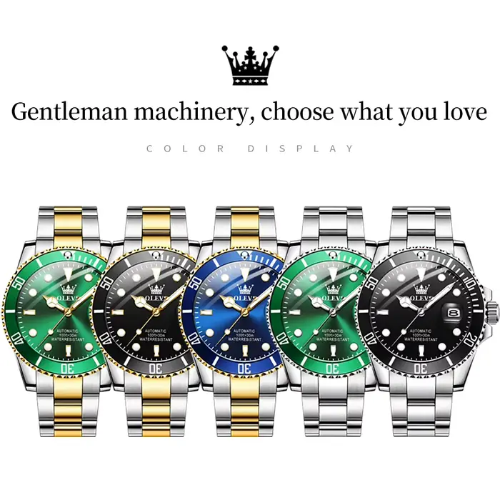 OLEVS 6650 hommes montre classique Original automatique
