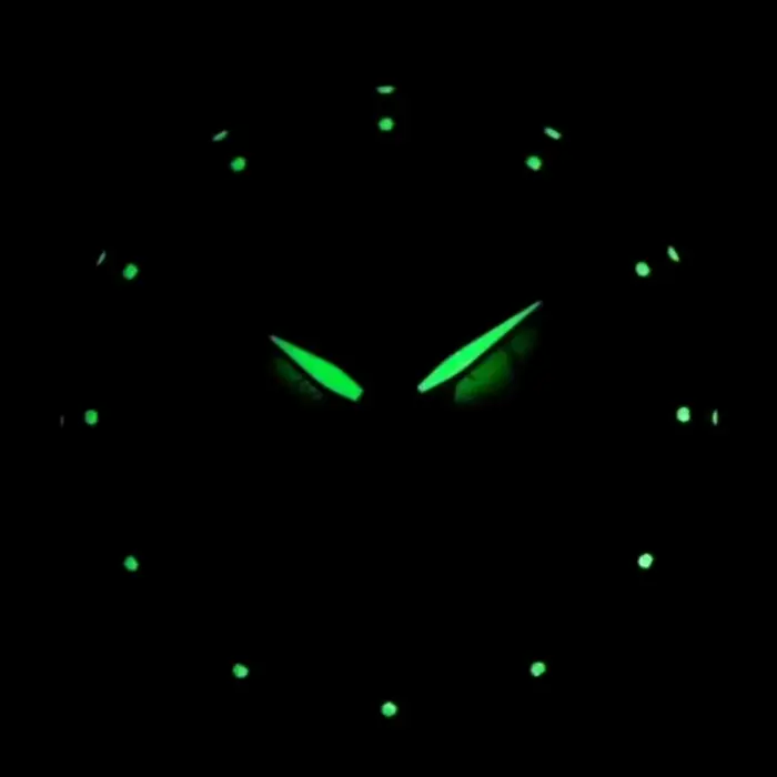 Montre Pagani Design Quartz Robe Acier Inoxydable Bracelet Lumineuses Fonction Chronographe Occasions Spéciales