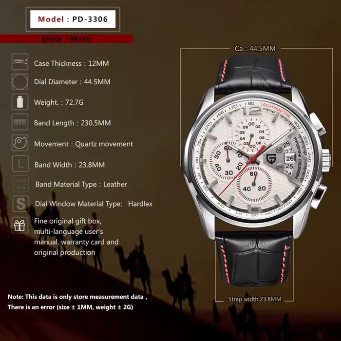 Montres PAGANI DESIGN pour hommes