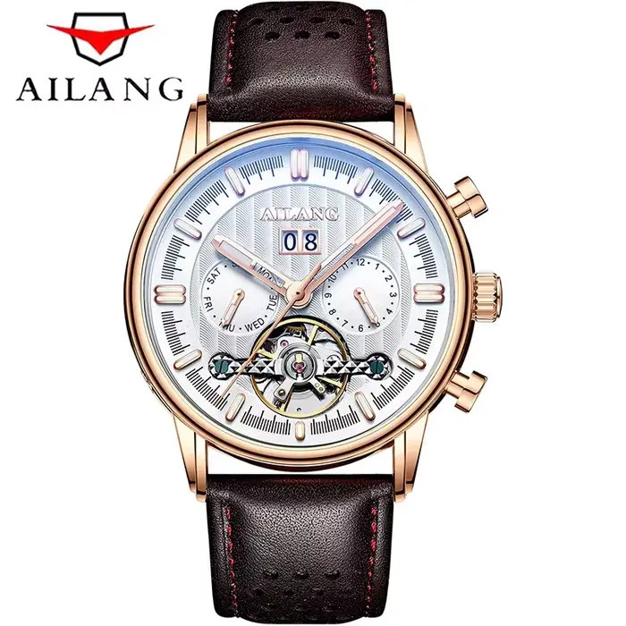 Montre Daniel Gorman Automatique à Tourbillon avec Bracelet en Cuir pour Hommes Occasions Spéciales Affaires Mode
