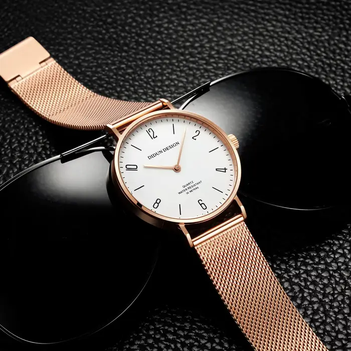 Montres mécaniques haut de gamme DIDUN, montres de luxe