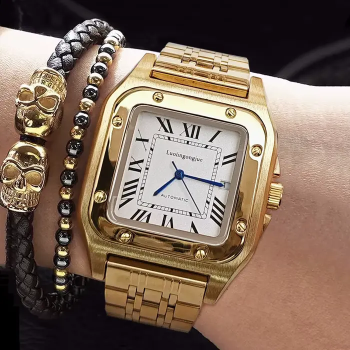 Montre mécanique de luxe haut de gamme pour homme