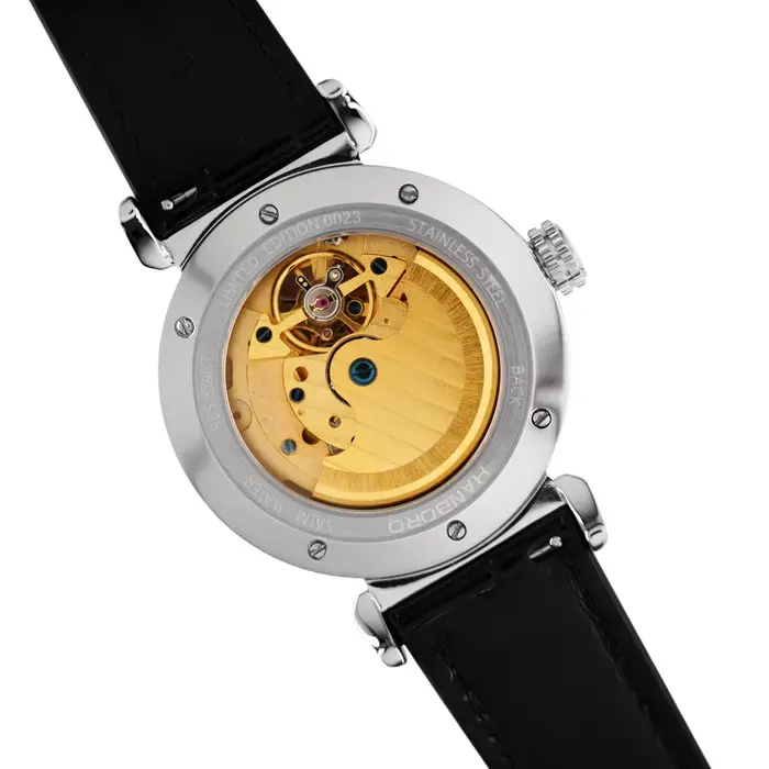Montre mécanique HANBORO Extraordinary Master Series pour homme avec affichage squelette et résistance à l'eau pour différentes occasions