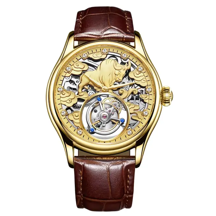 AESOP véritable Tourbillon squelette montre pour hommes haut de gamme montres mécaniques de luxe éta