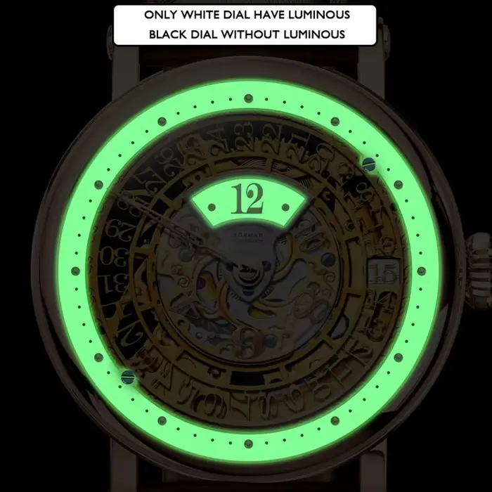 BORMAN montre mécanique automatique pour hommes de luxe suisse saphir cristal 50M étanche lumineux double squelette conception BM3901