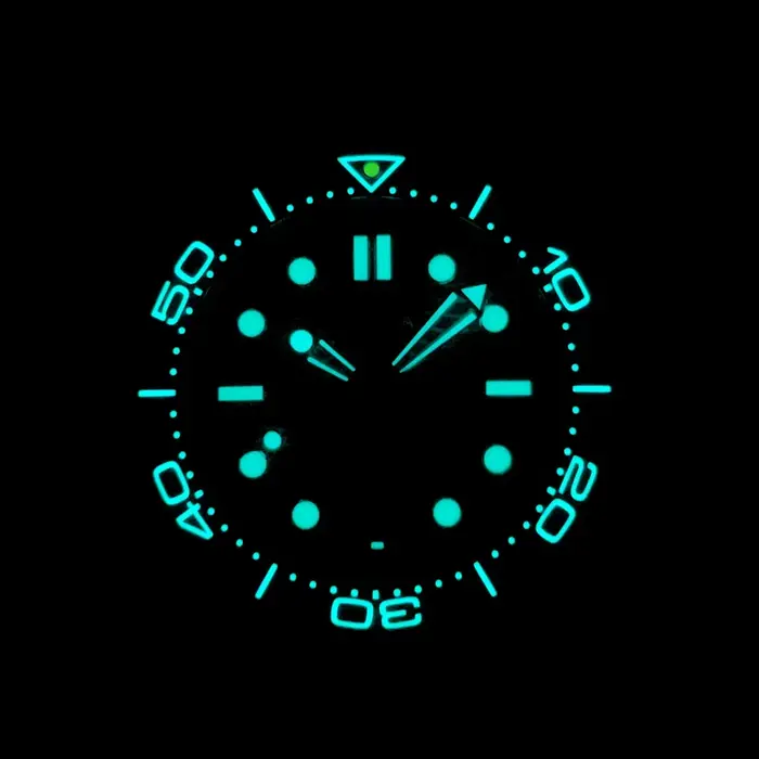 Montre PHYLIDA Acier Inoxydable 316L Cadran Vert Résistance 200m Occasions Spéciales Plongée Détente