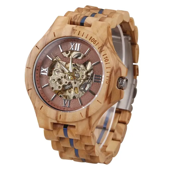 Montre mécanique creuse pour hommes, nouveau disque, Design Unique, apparence classique, montre de l