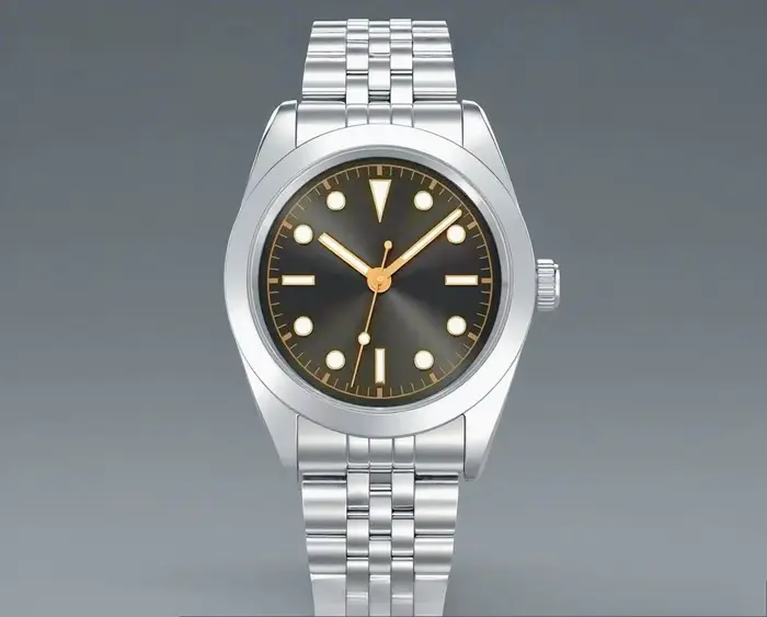 Montres mécaniques automatiques de luxe pour hommes