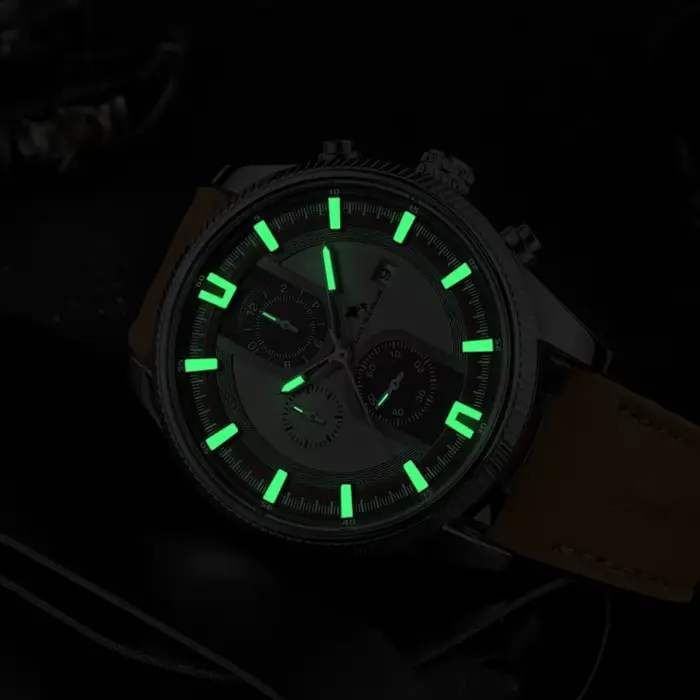 Montre mécanique automatique en acier inoxydable pour homme avec fonction lumineuse et résistance à l'eau 5 ATM pour occasions spéciales et tous les jours