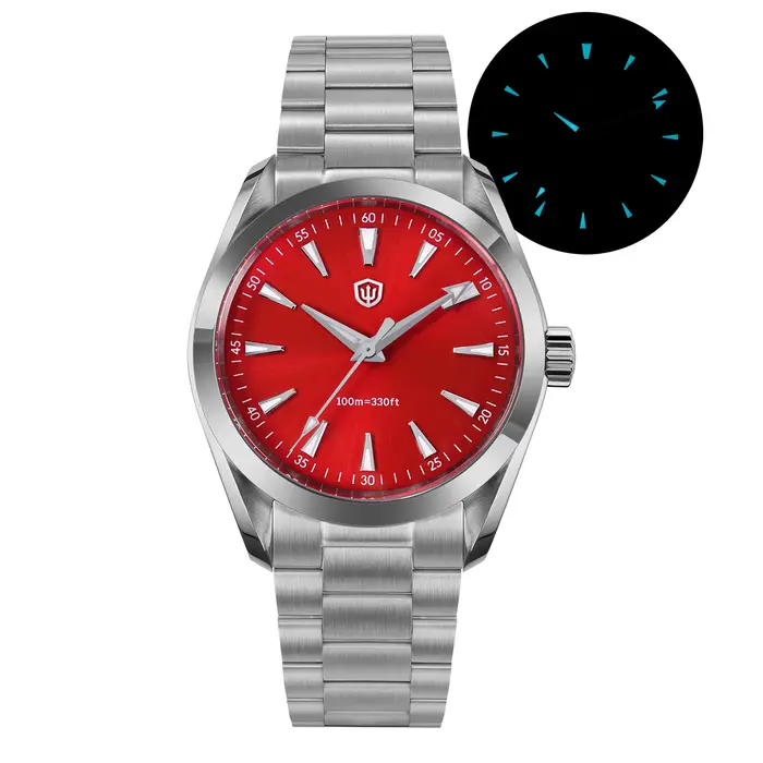 Montre Quartz Vintage Watchdives WD0006 avec Cristal de Saphir Luminosité BGW9 Résistante à l'Eau Occasions Spéciales Hommes