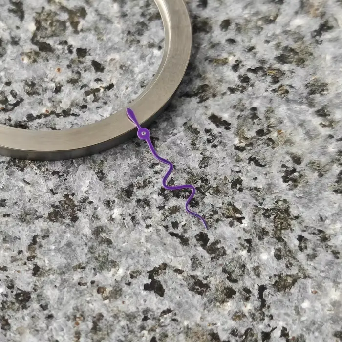 Montre en forme de serpent S
