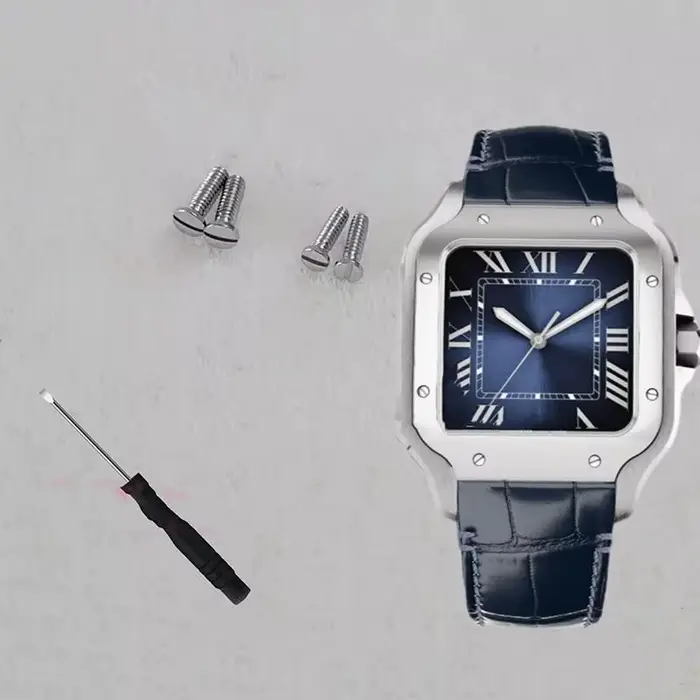 Vis pour montre Santos