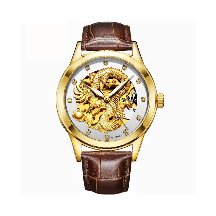 Montres mécaniques automatiques de luxe pour hommes, horloge Dragon doré, étanche, cadeau unique, ma
