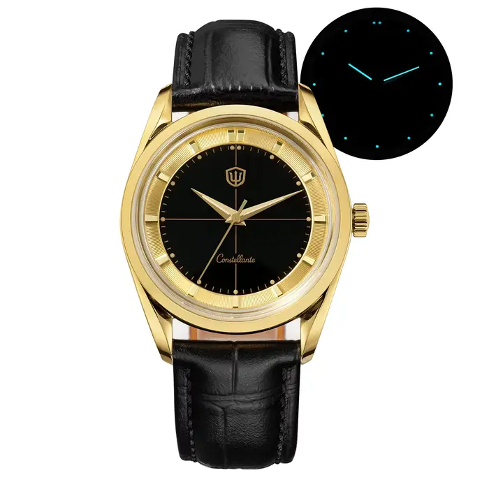 Watchdives WD1954 Montres pour hommes avec cadran en pierre œil de tigre VH31, montre à quartz à mou