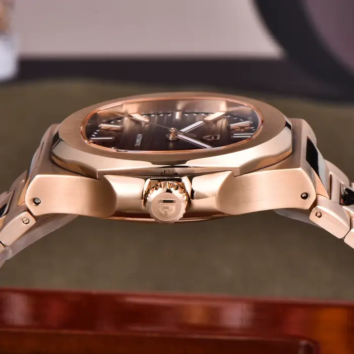 Montre mécanique Pagani Design en acier inoxydable pour homme, résistante à l'eau, avec cristal de saphir, pour toutes les occasions, cadeau parfait pour les amateurs de montres