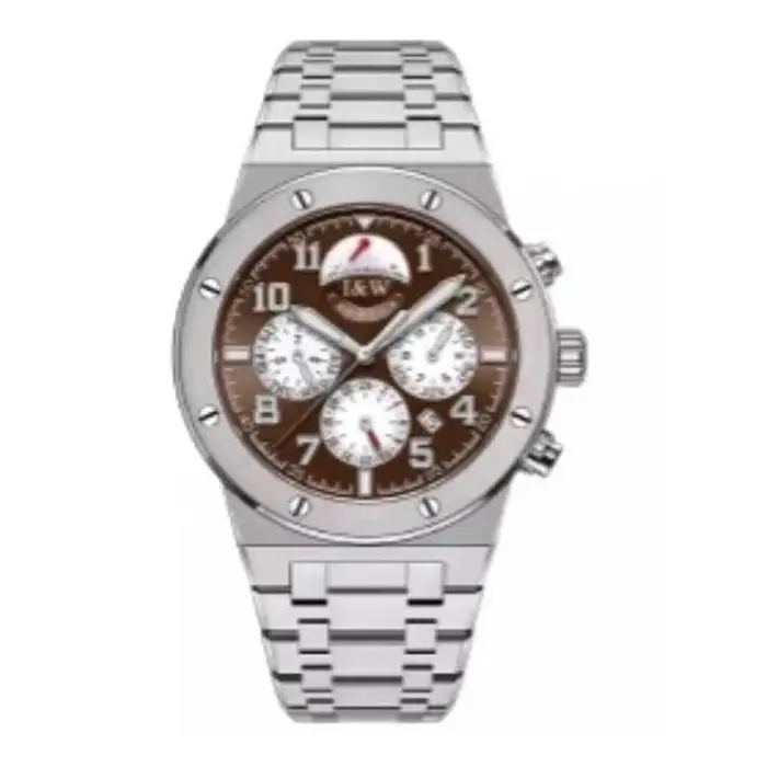 Montre automatique homme 41mm acier inoxydable saphir multifonctionnels pour occasions spéciales style casual élégant