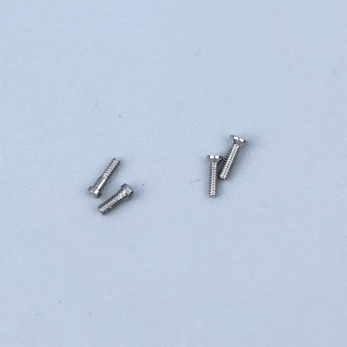Vis pour montre Santos