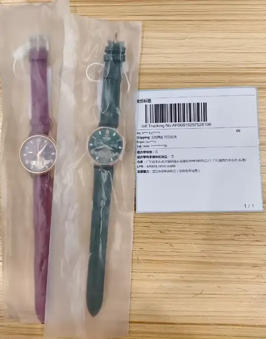 Montre mécanique automatique pour hommes