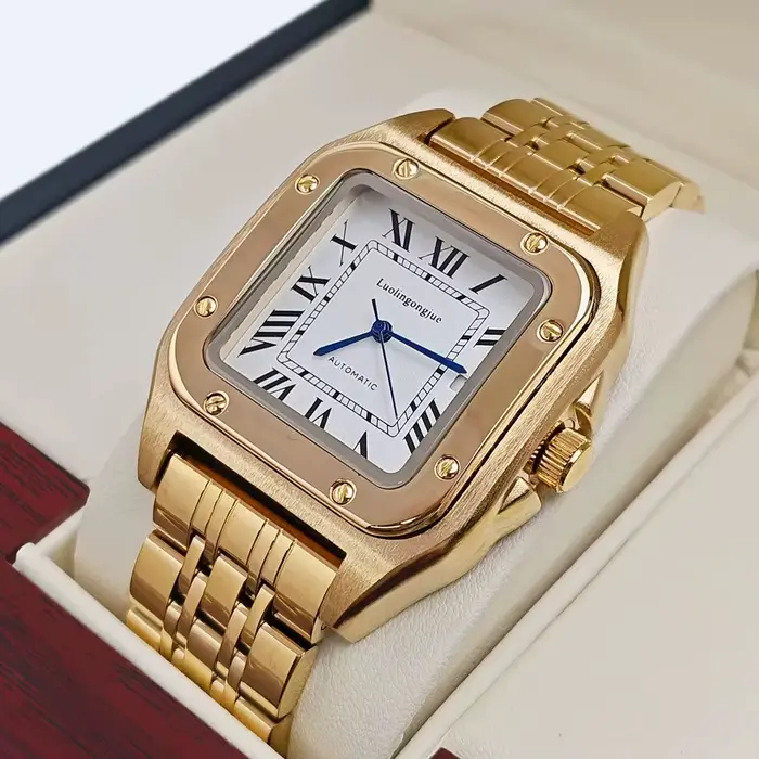 Montre mécanique de luxe haut de gamme pour homme