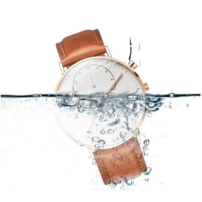 Carnaval marque montres de luxe pour homme mode étanche or Rose argent horloge militaire hommes