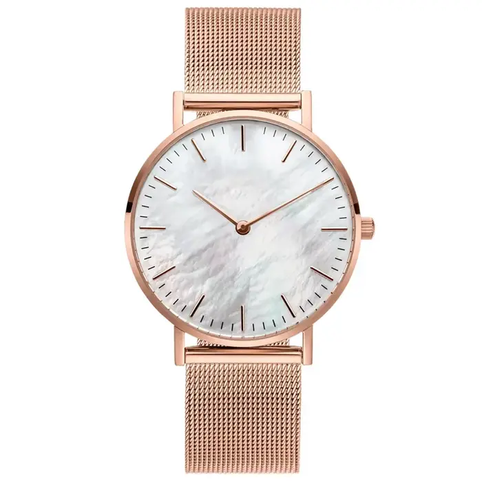 Montres de marque de luxe pour femmes mode métal maille bande analogique Quartz montre-bracelet Simp