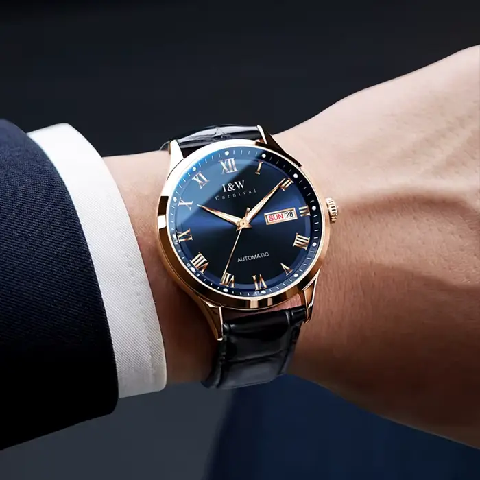 Montres mécaniques de luxe de la série haut de gamme Carnival I&W