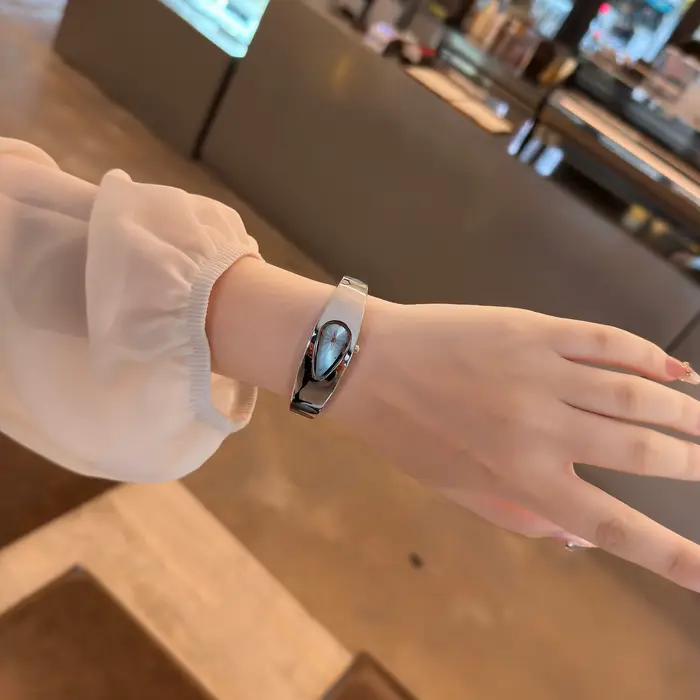Montre DRNATA en acier inoxydable pour femmes, élégante et résistante à l'eau pour diverses occasions spéciales