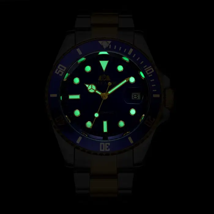 PAULAREIS P hommes montre classique lunette rotative