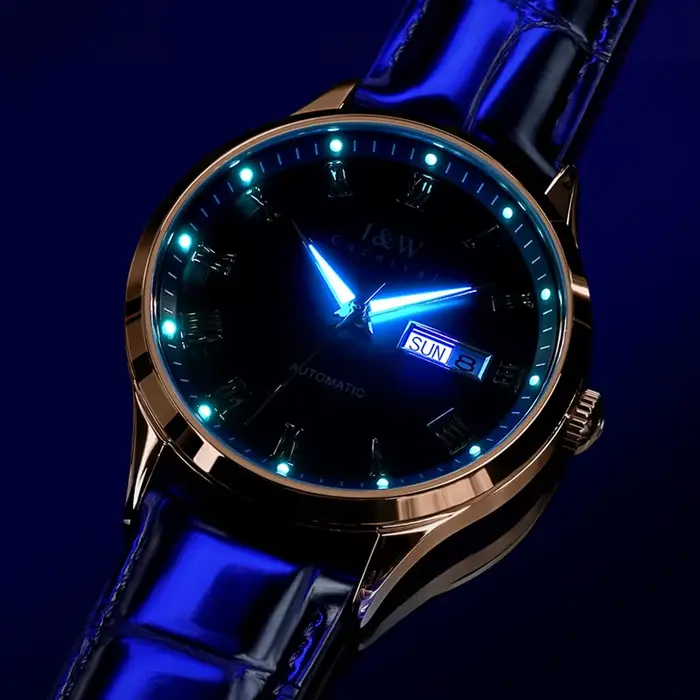 Montres mécaniques de luxe de la série haut de gamme Carnival I&W