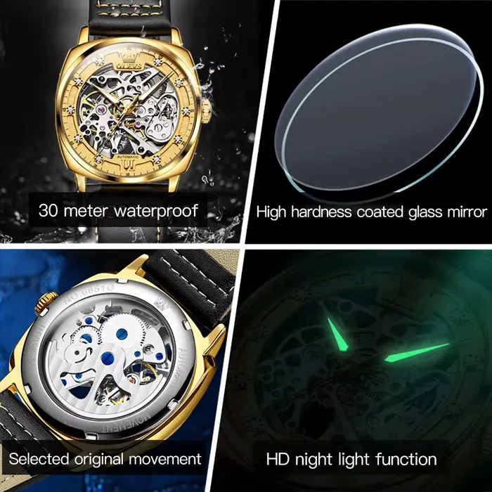 OLEVS 6651 montre pour hommes classique automatique