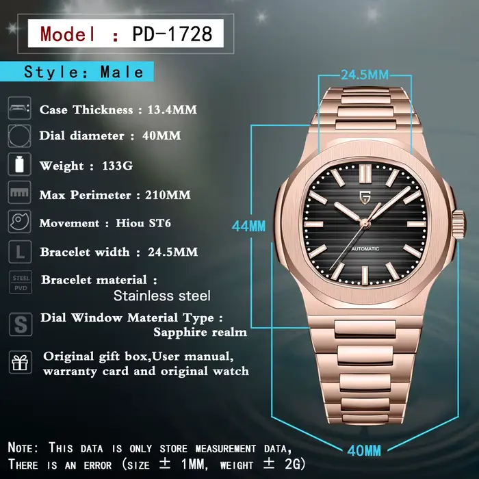 Montre automatique Pagani Design ST6 pour homme