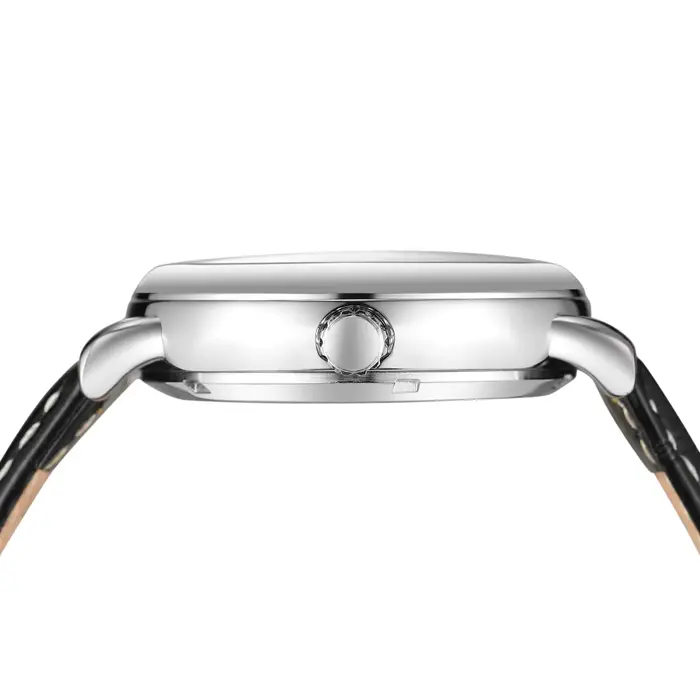 Montre de luxe pour hommes