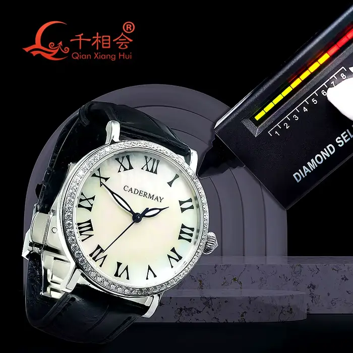 Montre-bracelet mécanique de luxe pour hommes
