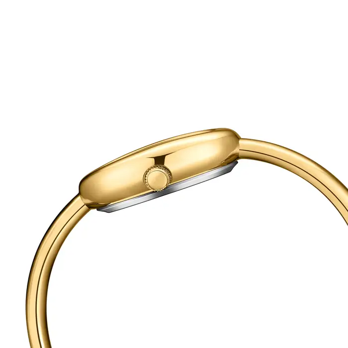 Montre élégante et minimaliste YaLaLuSi avec mouvement quartz pour femmes, idéale pour les occasions spéciales et le quotidien