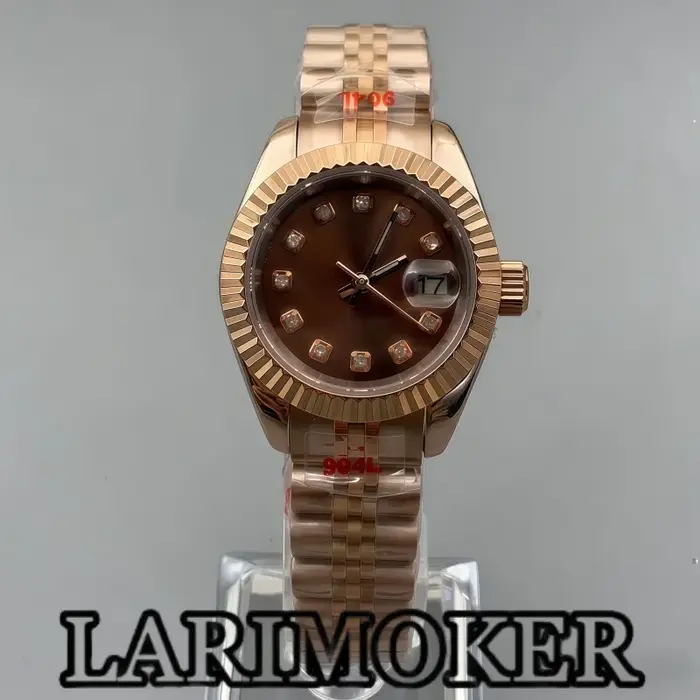 Montre mécanique automatique BLIGER pour femme, cadran marron, mouvement NH05, bracelet acier inoxydable, résistance à l'eau 10 barres, pour occasions spéciales et tous les jours