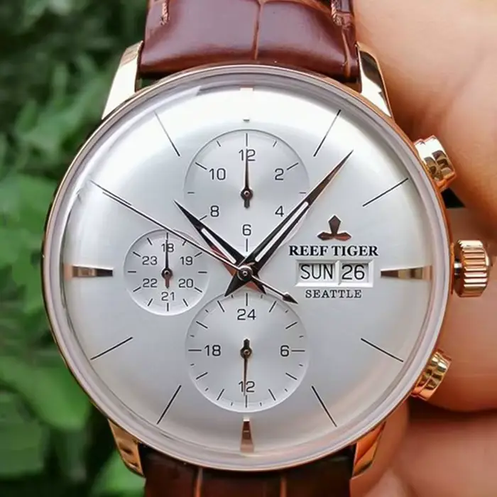 Montre mécanique automatique pour homme