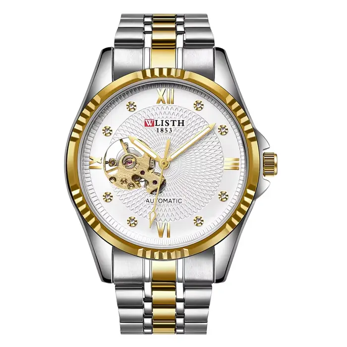 Montre de luxe pour homme, montre mécanique, montre de sport en acier inoxydable, lumineuse, étanche
