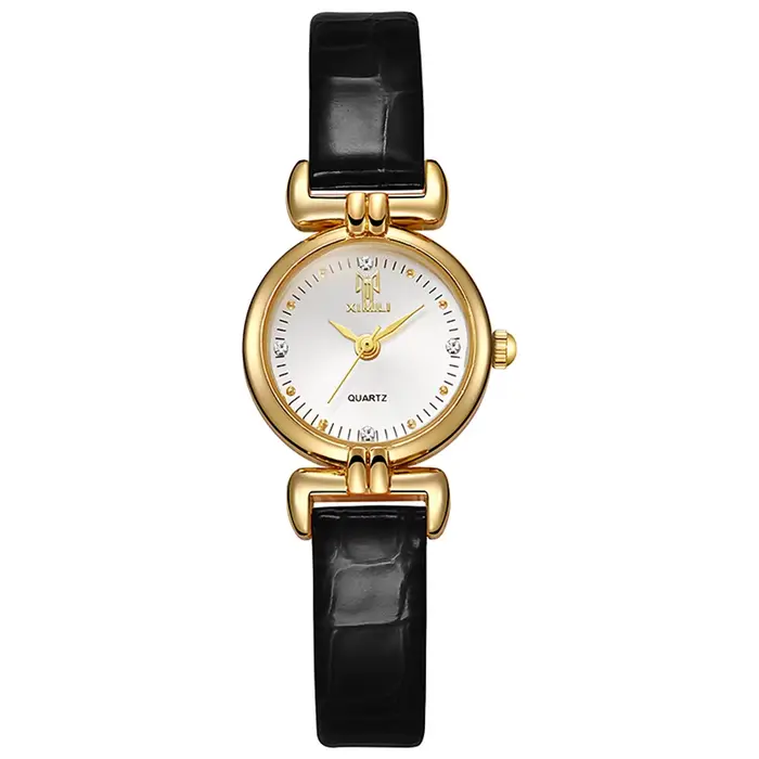 Mode 2024 nouvelles dames petits diamants simples montre à Quartz en cuir noir femmes robe horloge cadeau montre-bracelet